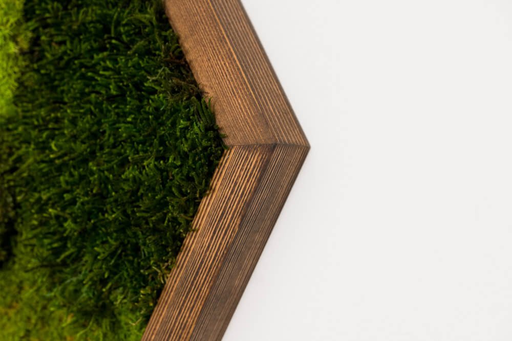 Hexagon Moosbild SICILIA 47×54 cm – Kugelmoos & Flachmoos handgefertigt - Moospro