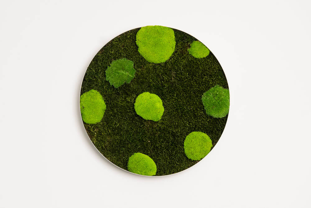 Rundes Moosbild COSTA RICA 35 cm – Islandmoos pflegefrei handgefertigt - Moospro
