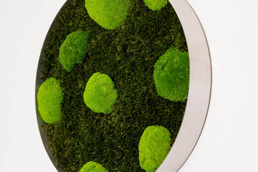 Rundes Moosbild COSTA RICA 35 cm – Islandmoos pflegefrei handgefertigt - Moospro