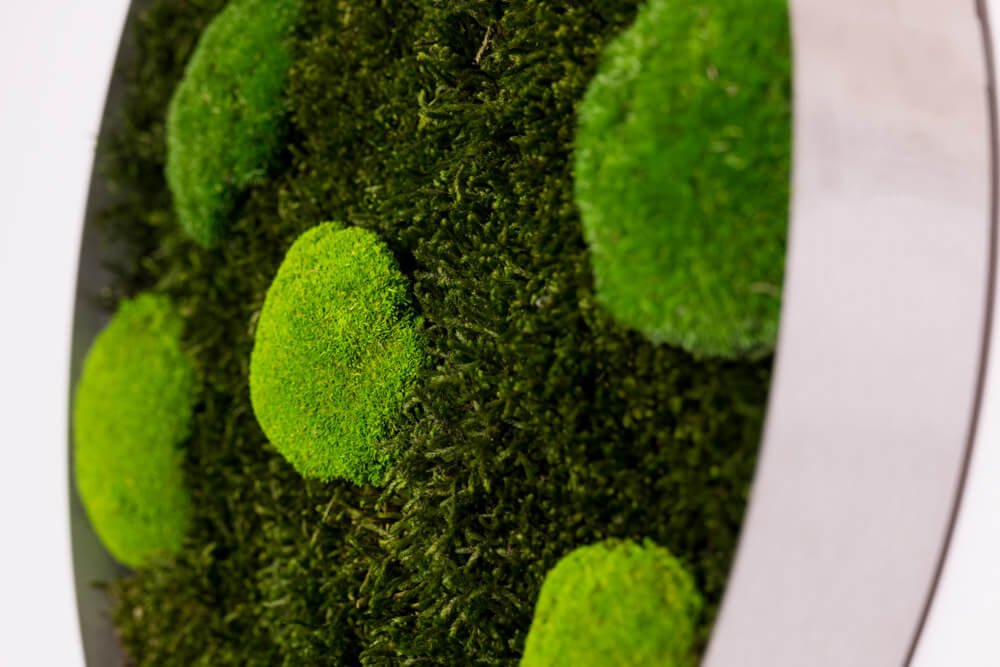 Rundes Moosbild COSTA RICA 35 cm – Islandmoos pflegefrei handgefertigt - Moospro