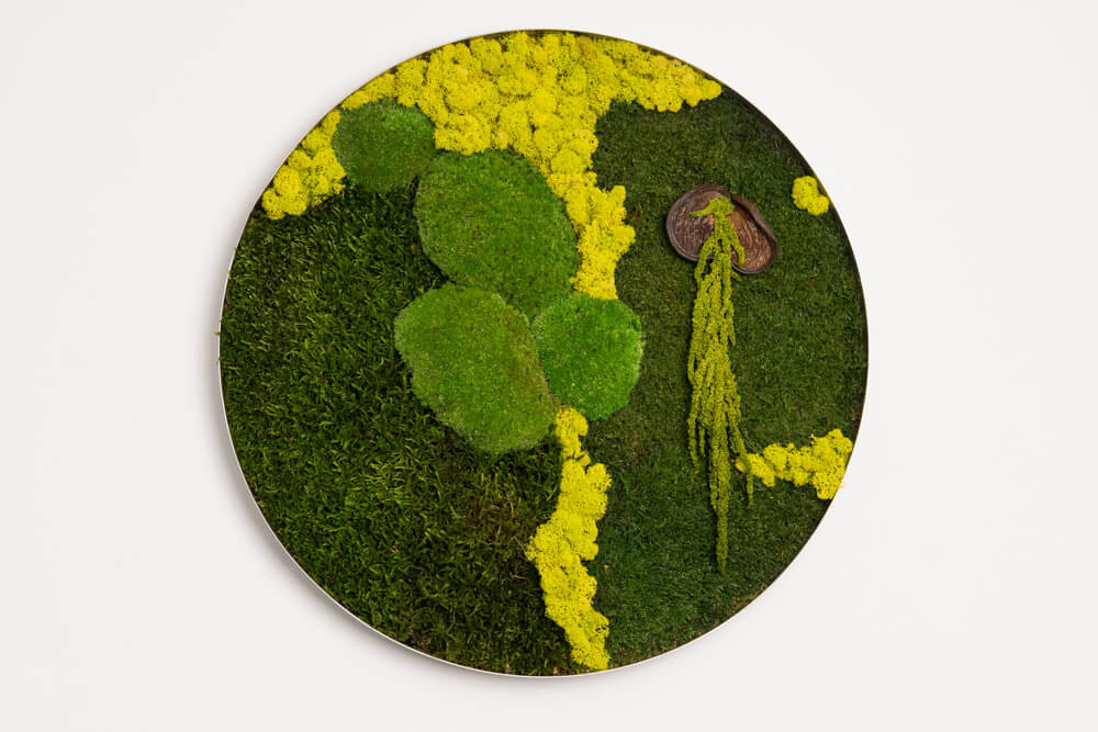 Rundes Moosbild BRAZIL 60 cm – Islandmoos pflegefrei handgefertigt - Moospro