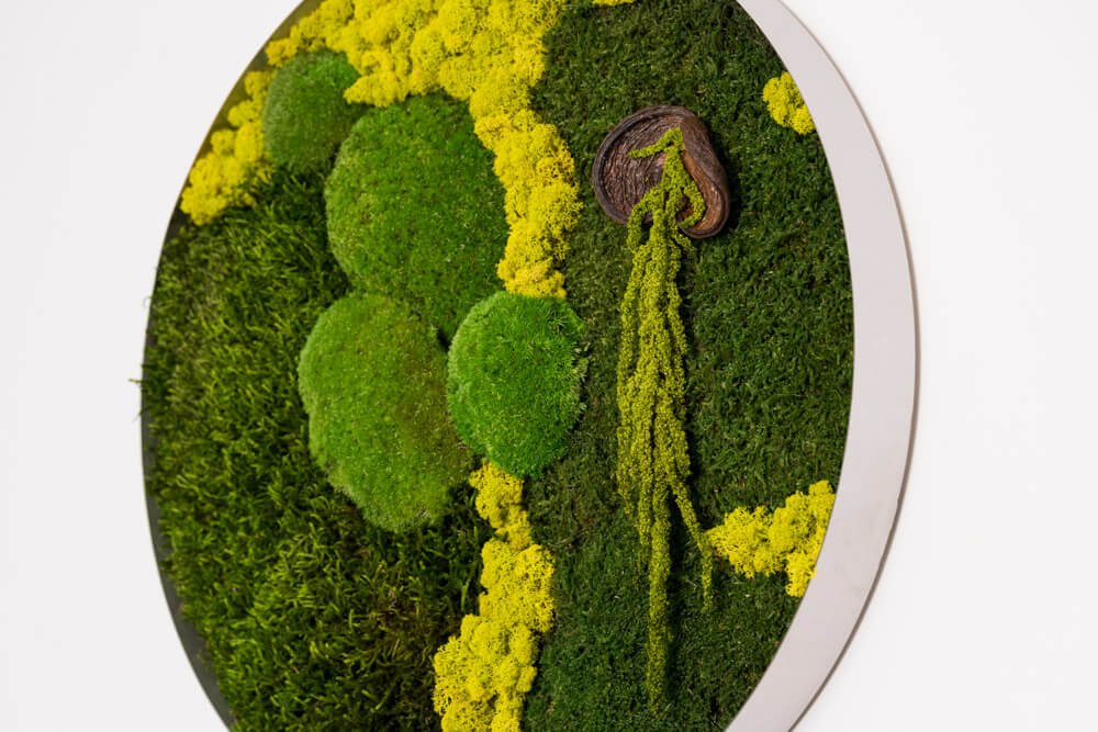 Rundes Moosbild BRAZIL 60 cm – Islandmoos pflegefrei handgefertigt - Moospro