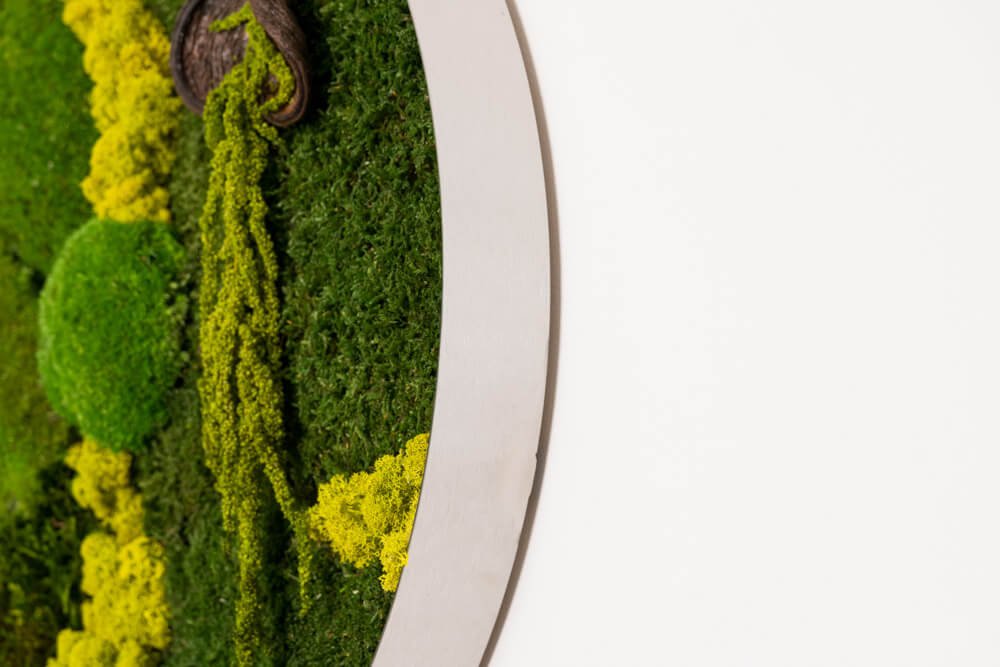 Rundes Moosbild BRAZIL 60 cm – Islandmoos pflegefrei handgefertigt - Moospro