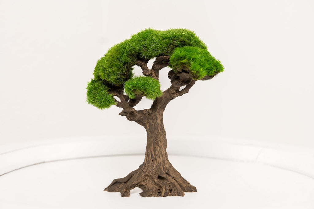 Mini - Bonsai JAPAN – Kugelmoos auf Steinmaterial pflegefrei handgefertigt - Moospro