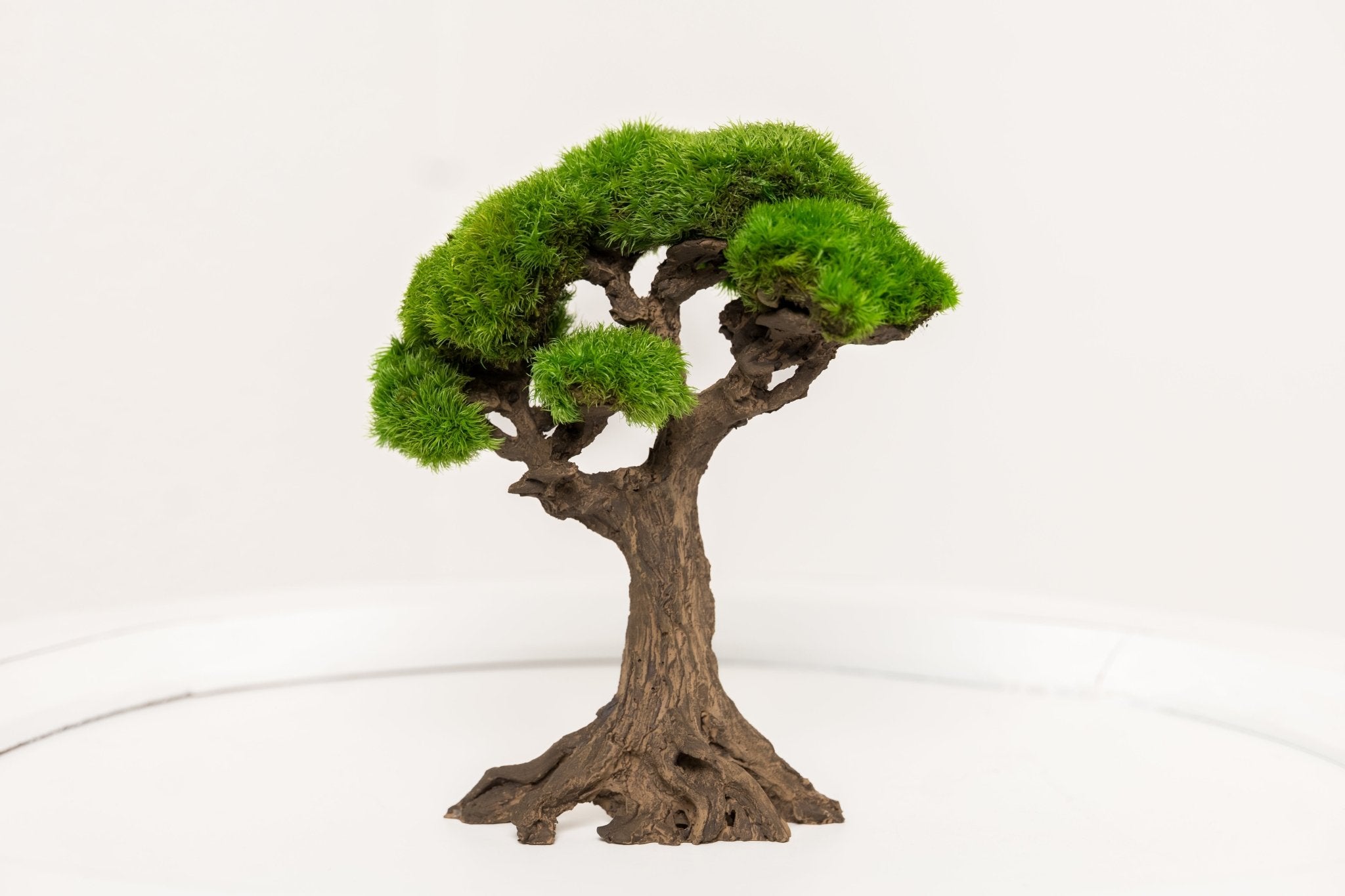 Mini - Bonsai JAPAN – Kugelmoos auf Steinmaterial pflegefrei handgefertigt - Moospro