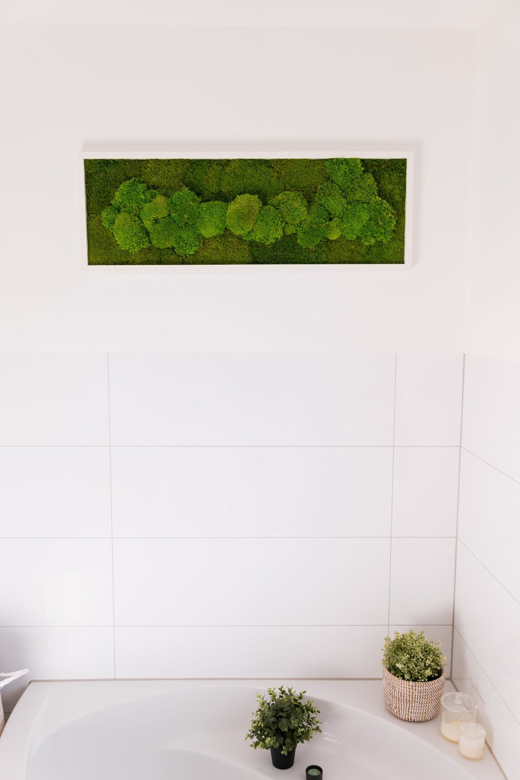Moosbild Wandbild 100×35 cm – Kugelmoos & Flachmoos – Naturdeko pflegefrei handgefertigt - Moospro
