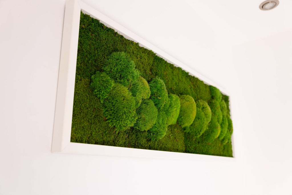 Moosbild Wandbild 100×35 cm – Kugelmoos & Flachmoos – Naturdeko pflegefrei handgefertigt - Moospro