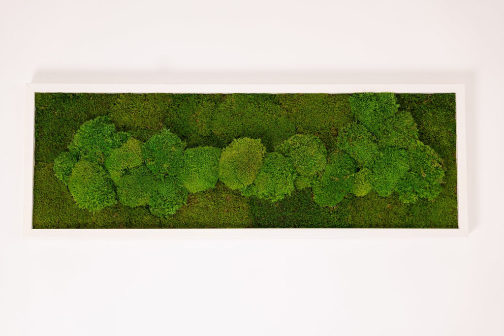 Moosbild Wandbild 100×35 cm – Kugelmoos & Flachmoos – Naturdeko pflegefrei handgefertigt - Moospro