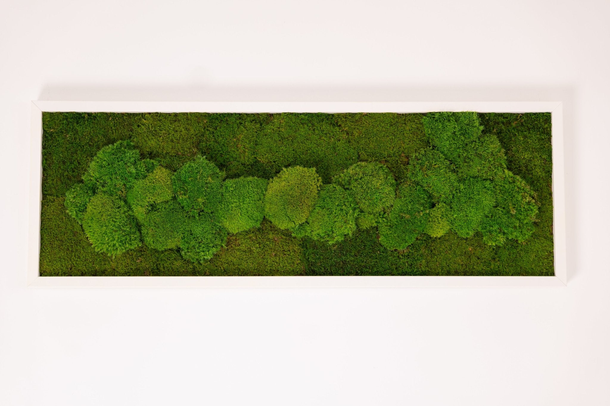 Moosbild Wandbild 100×35 cm – Kugelmoos & Flachmoos – Naturdeko pflegefrei handgefertigt - Moospro